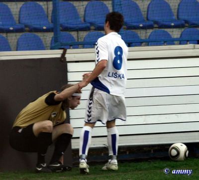 Klikněte pro zobrazení původního (velkého) obrázku