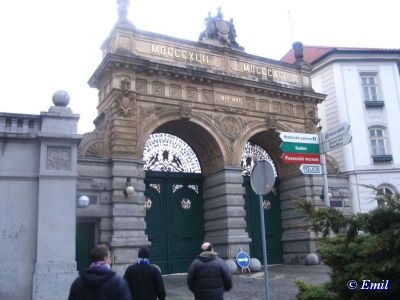 Klikněte pro zobrazení původního (velkého) obrázku